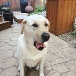 Barney Allen - @lifeofbarneyallen - Instagram