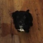 Barney - @barney_allen13 - Instagram