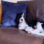 @_barney_anderson_ - Instagram