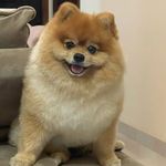 Barney Andrade Melo - @barneycma - Instagram