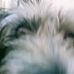 Barney Arano - Facebook