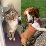 Barney & Bailey Konkoly - @barney_bailey_adventures - Instagram