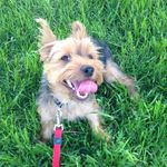 Barney Bailey - @barneysgram - Instagram