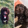 Barney_bailey❤️ - @barney_bailey - TikTok
