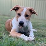 Barney Bailey-Poole - @_barneysaurus_ - Instagram