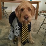 Barney Baker - @barney_boy3101 - Instagram