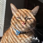 Barney Baker - @barney_baker_ - Instagram