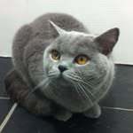Barney - @barney_baker - Instagram