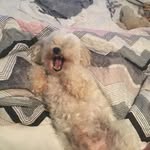Barney R Baker - @allaboutbarney.1 - Instagram