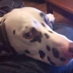Barney Baldwin - Facebook