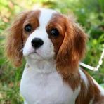 Barney Baldwin - Facebook