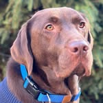 Barney - @barneybankside - Instagram