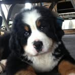 Barney Cooper Barlow - Facebook