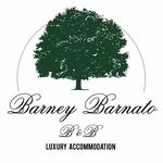 Barney Barnato - @barney_barnato - Instagram