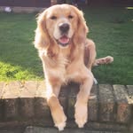 Barney Barrett - @barney_barrett_ - Instagram