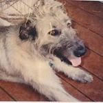 Noenoe Barney-Campbell - @noenoebarneycampbell - Instagram