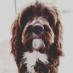 Barney Cannon - @mr_barneybean - Instagram