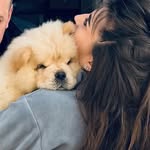 БАРНИ ЧАУЧАУВИЧ🧸 - @chow_barneyyy - Instagram