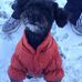 Barney Chow - Facebook