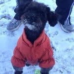 Barney Chow - @barneychow - Instagram