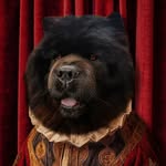 Barney_Chow Bear 🖤 ™️🐾 - @barney_chowbear - Instagram