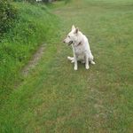 Barney Cole - @barney.coleman.7 - Instagram
