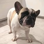 Barney Hart - @barney_hart23 - Instagram