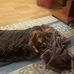 Barney Holmes - Facebook