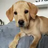 Barney holmes - @mystic5181 - TikTok