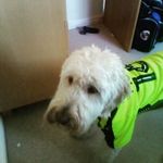 barney holmes - @_hbarney_490 - Instagram