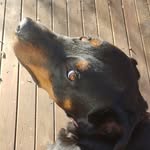 Barney Kent - @barneyratto - Instagram