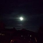 Barney Lewis - @bighands37214 - Instagram