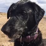 Barney Perkins - @barney.perkins - Instagram