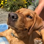 Barney Perkins Johnson - @barn.3y_ - Instagram