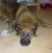 Barney Rowe - Facebook