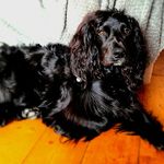 Barney rowe - @barneyrowe7 - Instagram