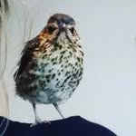 Barney Sanders - @barney._.sanders - Instagram