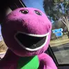 Barney Sanders - @barneysandersofficial - TikTok