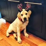 Barney Sanders - @therealbarney_sanders - Instagram