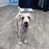 Barney Vasquez - @barney.vasquez - TikTok