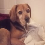 @barneywebbb - Instagram