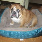 Handsome Barney Busselman - Barney Webb - Facebook