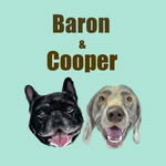 Baron & Cooper - @baron_bull - Instagram