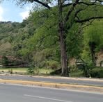 Barón Martínez - Facebook