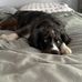 Barrett Alexander - Facebook