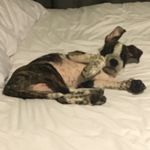 Barrett Jackson - @barrett_jackson_ - Instagram