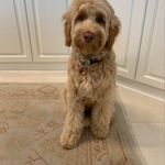 Shane Barrett Matthews - @sbmattsc - Instagram