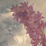 Barrett McDonald - @barrettmcdonald - Instagram