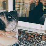 Barrett Reed - @photography_by_barrett - Instagram