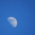 Marianne Barrett - @digishutterbug - Instagram